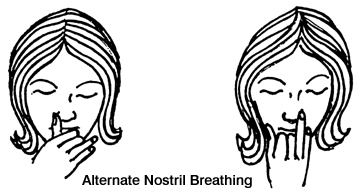  Très connu en Inde comme un exercice pour stimuler les deux hémisphères cérébraux, le yoga respiratoire agit efficacement pour un meilleur équilibre des nos fonctions mentales 