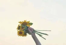 Petits Bonheur : 8 Conseils pour Égayer Votre Quotidien avec une Pincée d’Humour Les petites joies du quotidien