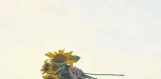 Petits Bonheur : 8 Conseils pour Égayer Votre Quotidien avec une Pincée d’Humour Les petites joies du quotidien